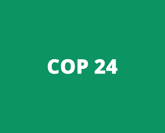 COP 24